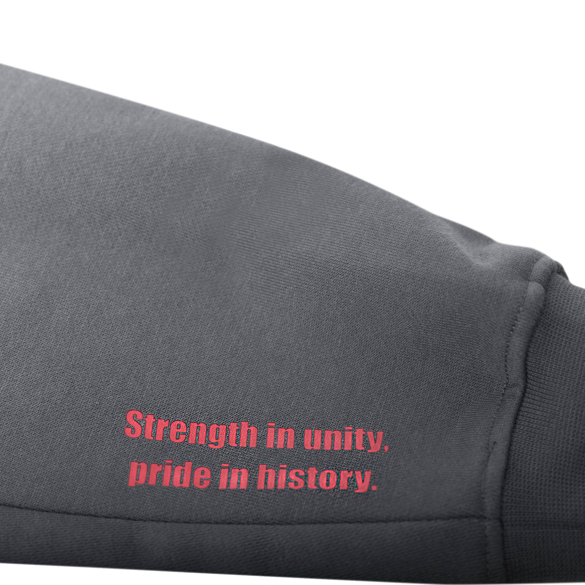 Hoodie Grey